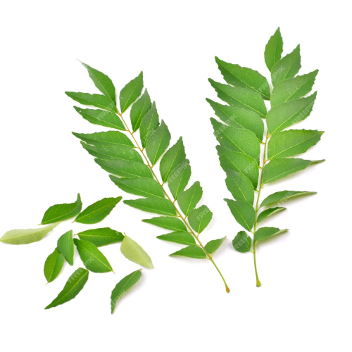 Curry Leaves