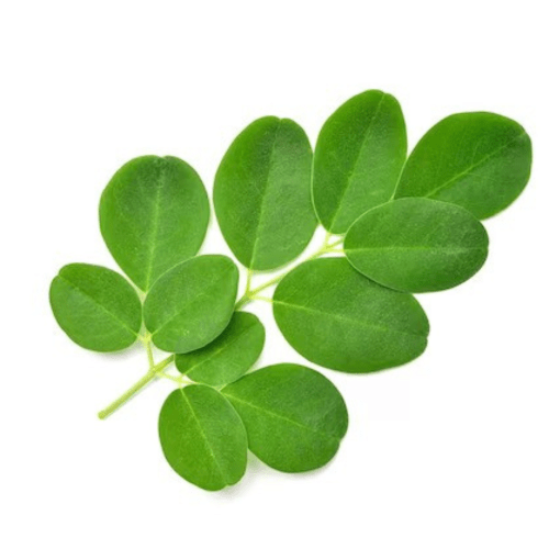 Moringa