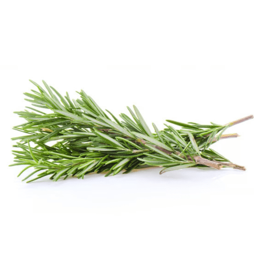 Rosemary