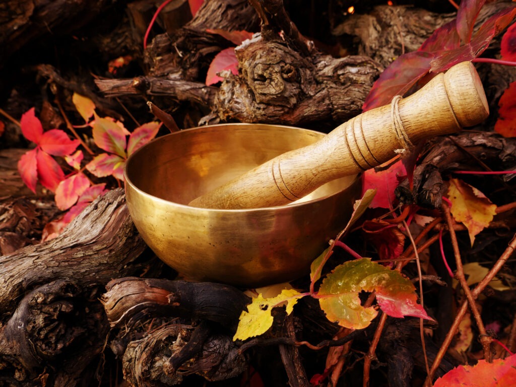 The power of Ancient Ayurveda in Modern Science